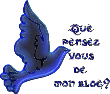 mon blog
